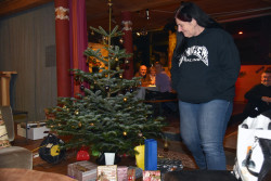 017 geburtstag und weihnachtsparty