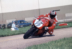 maurizio bauemli