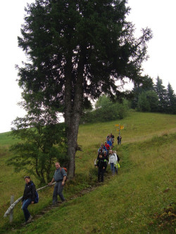 133 wanderung