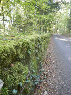 060 wanderung