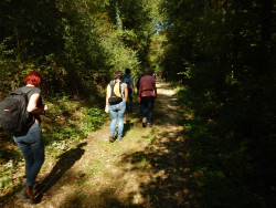 081 wanderung