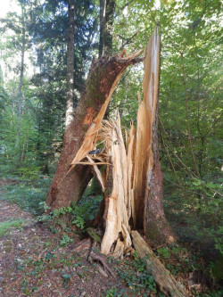 090 wanderung