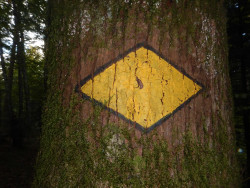 101 wanderung
