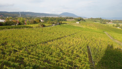 131 wanderung