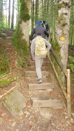 164 wanderung