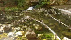 185 wanderung