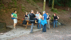 195 wanderung