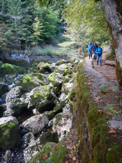 201 wanderung