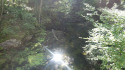 205 wanderung