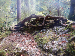 206 wanderung