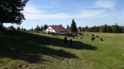 251 wanderung