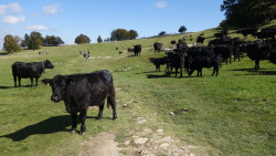 252 wanderung