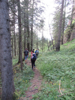 020 wanderung